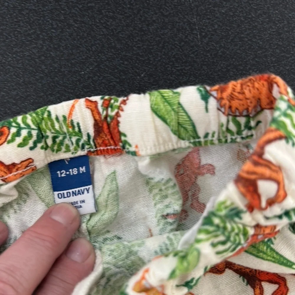Dinosaur Print Kids Shorts